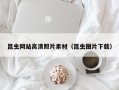 武安昆虫网站高清照片素材（昆虫图片下载）